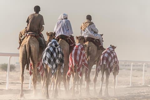 Doha: Relax & Refresh Under the Desert Stars + een GRATIS kameelrit