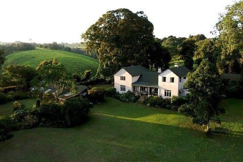 Dagstur til Kiambethu te gård i Limuru fra Nairobi