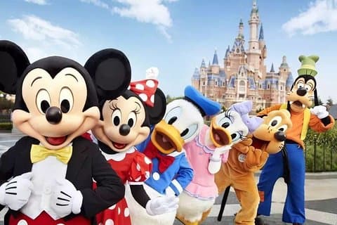 Private Transfer between Shanghai Disneyland and Pudong International Airport