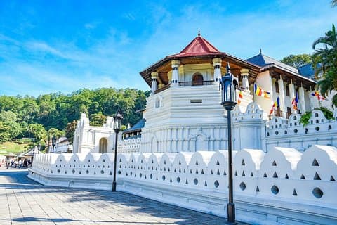 Kandy Day Tour de Kalutara e Wadduwa hotéis