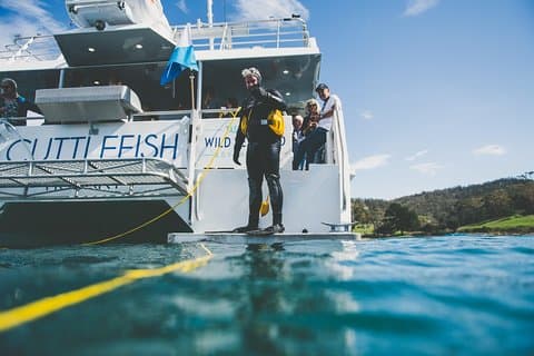 Deep-to-Dish: Tasmanian Seafood Experience