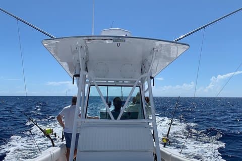 Bluefinn242 3/4 day deep sea /light tackle fishing
