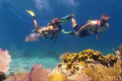 Snuba Adventure på Coral World Ocean Park