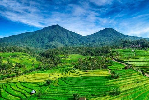 Ting å gjøre i nærheten av Tanah Lot - JatiLuwih (UNESCO) - Ulun Danu Temple - Wanagiri Hill