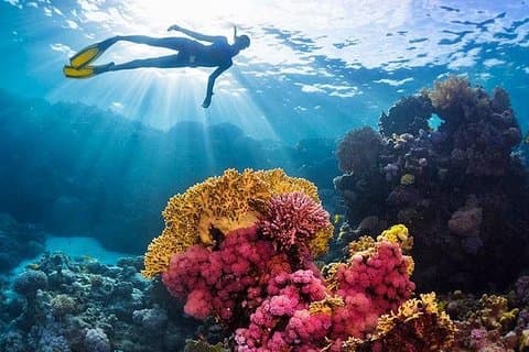 Hola Hola Eiland in Hurghada