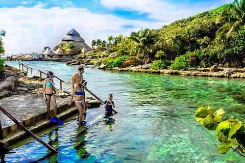 Heldagstur til Xcaret Plus med overførsel fra Playa del Carmen og frokost