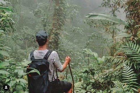Climbing the volcano woods in ometepe