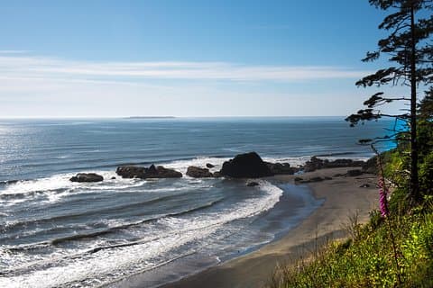 Olympic National Park dagstur fra Seattle