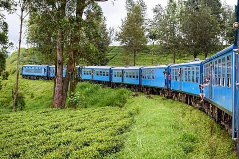 4 Tage Tour nach Kandy, Sigiriya & Nuwara Eliya