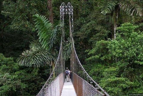 Transfert privé de l'aéroport de San Jose à Arenal La Fortuna