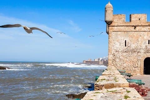 Essaouira-dagtrip vanuit Marrakech