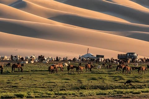 14-daagse Grand Tour - Gobi woestijn naar Steppe (All-inclusive privé)