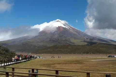 Excursion to Cotopaxi National Park and Limpiopungo Lagoon