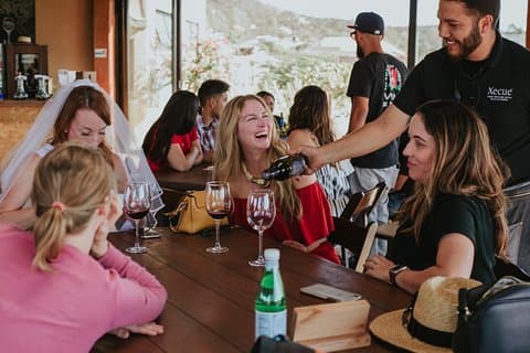Xecue vinsmagning i Valle de Guadalupe