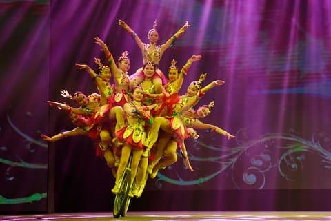 Acrobatics Show with Private Driver Service Include Hotel Pick-up and Drop-off