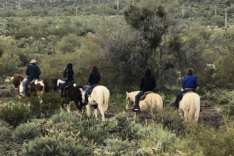 Contact us to book your time. Best Trail Rides in Arizona.