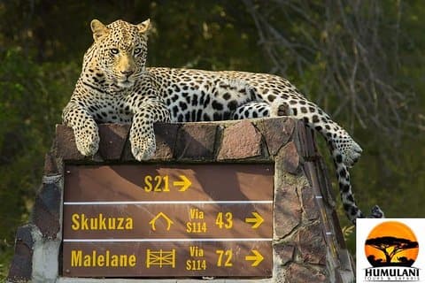 3 Nights 4 days Kruger via Panorama overnight package