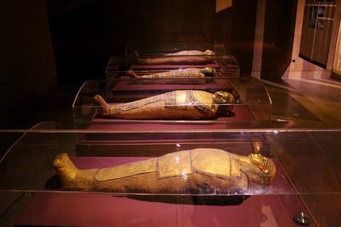 Excursão ao Templo Kalabsha e ao Museu Núbio