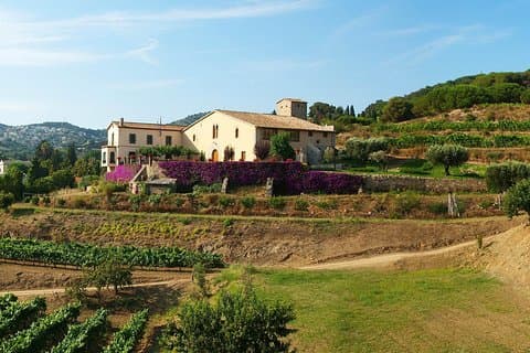 Experiência de Adega com Café da Manhã Privado - Excursão Privada de Degustação de Vinhos