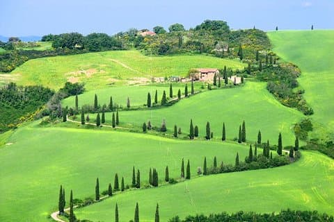 Romantic Vespa Tour and Wine Tasting