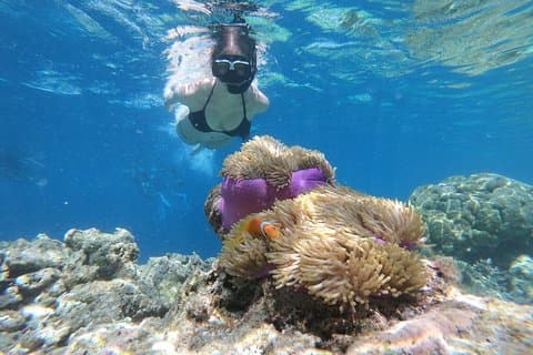 Nusa Penida Island-turpaket med snorkling