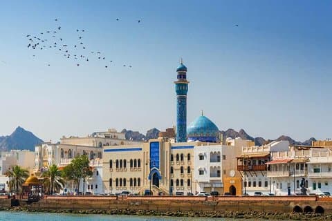 Muscat City Tour - Private / Group Guided Tour from Muscat