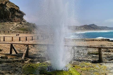 West Salalah, Al Mughsail Beach, White Beach, Frankincense Tree (halvdagstur)
