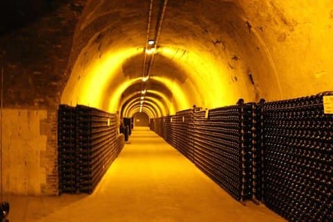 Ruinart champagne speciel tur