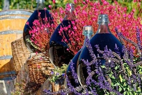 Tour de medio día de cata de vinos y Saint Paul de Vence desde Niza