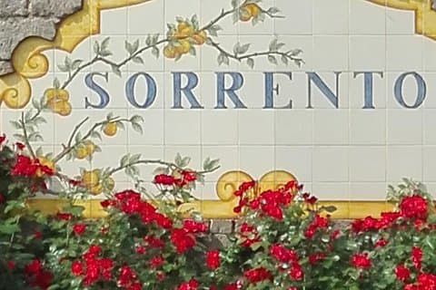 Transfert Naples Sorrente plus Pompéi ou vice versa