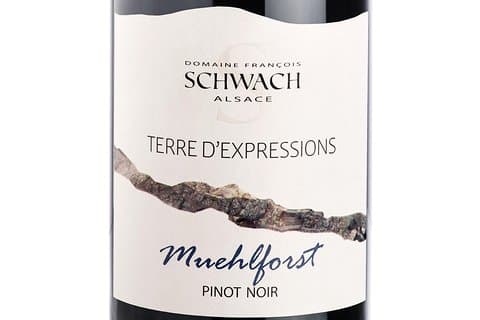 Spirit of TERROIR