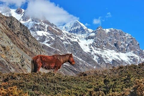 Annapurna Circuit Trek med Heritage Highlights