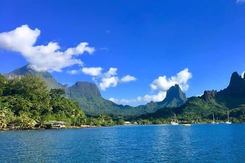 Moorea Private Full Day Snorkeling Experience