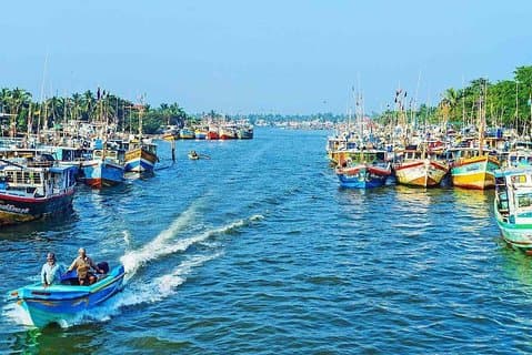 Tour della laguna di Negombo, del canale olandese e della zona umida di Muthurajawela