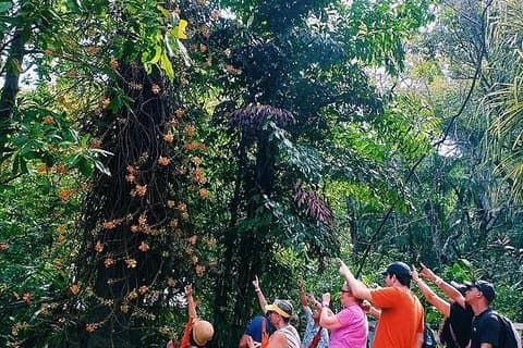Un voyage à travers les jardins de Carambola et le temps de plage en option ou le shopping dans le West End