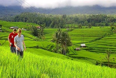 ENTDECKEN SIE die Schönheit von Bali mit Private Car Tours