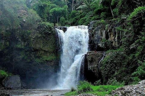 Private Chartered Car to Ubud and Uluwatu With Traditional Dances