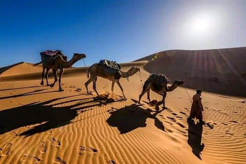 Expérience partagée de safari dans le désert de 3 jours de Marrakech à Merzouga