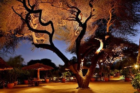 3-daagse Amboseli Safari