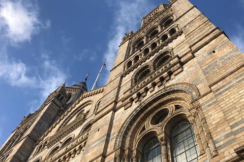 Recorrido privado esencial de un día por Londres en transporte público