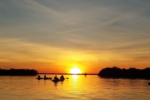 Sunset Tour Mangrove, Dolphins, Manatee #1 Rated in Cocoa Beach