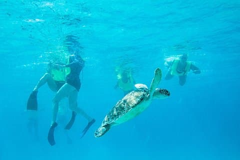 National Park Snorkeling Excursion