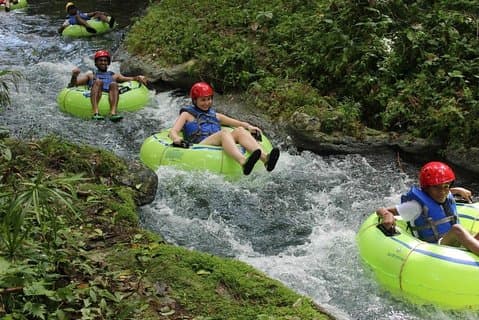 River tubing from Ocho Rios