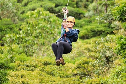 Vollständige Monteverde Nebelwald Erfahrung mit Ziplining.