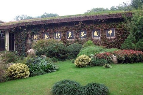 Excursión de un día a Hangzhou Dragon Well Tea Plantation and Culture Tour
