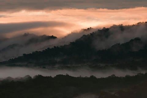 Reserva de Bosque nublado Bellavista / 2 días