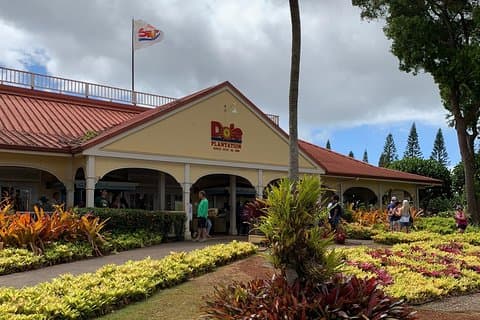 Visite d'Oahu - Visite de Pearl Harbor, de l'ananas de Dole et d'Oahu