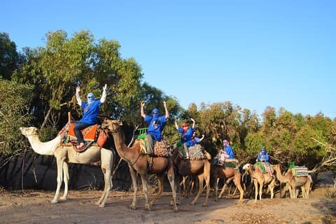 Giro avventuroso in cammello di 2 ore a Essaouira
