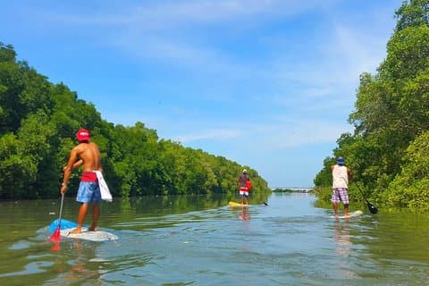 Stand Up Paddle Boarding met Pickup & Drop Off