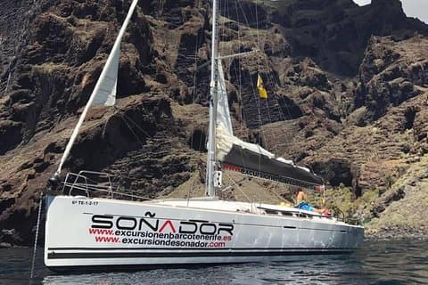 3 Horas Todo incluido en barco a vela para ver ballenas y delfines